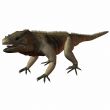 Iguana