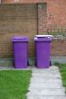 Purple Bins