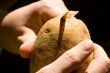 potato