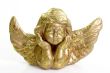 Cherub