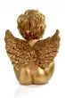 Angels backside