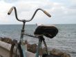 old rusty bike by the ocean