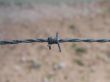 barbed wire fence close-up