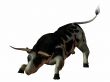 3D Bull
