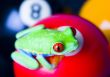 Crazy frog