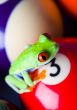 Crazy frog
