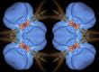 Kaleidoscope