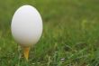 Egg on a Golf Tee