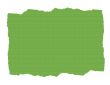 Green Textured Paper Ripped