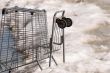 Abandoned Shopping Cart