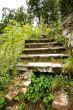 The old stone ladder surrounded with a green grass