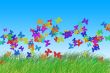 Happy summer
