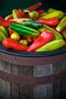 Bucket of Fake Peppers