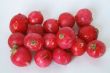 Fresh Radishes