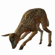 Fawn 3D