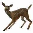 Fawn 3D