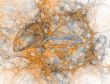 Abstract Marble Texture with Diamond