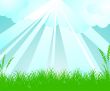 spring vector landscape