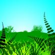 spring landscape