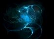 Dark-blue flower