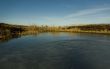 Frozen bog