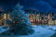 Snow fir-tree
