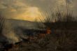 Burning bog