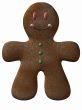 Gingerbread Man