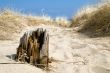 Timber in Sand