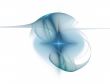 Abstract Blue Star with Gossamer on White
