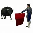 Bullfight