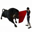Bullfight