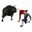 Bullfight
