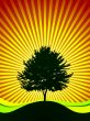 vector tree on shine background