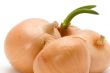bulb onion close up
