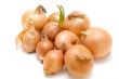 bulb onion on white