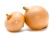 Two bulb onion
