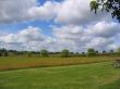 English Meadow