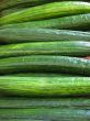 Closeup of Cucumbers in a Continental Market