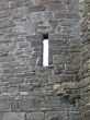 Castle Window