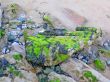Moss on Rocks