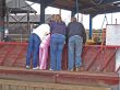 Viewing Calves