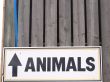 Animals Up