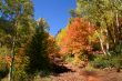 Fall Splender 67