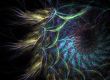 Downy spiral