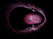 Pink oval