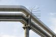 Stainless Steel Pipes