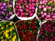 flower market1