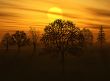 autumn etude