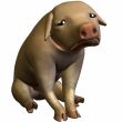 Piglet 3D